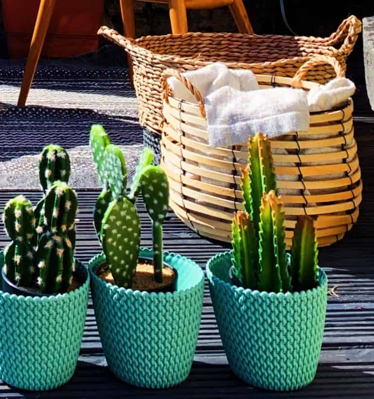 Faux / Fake Cactus in Black Pot – Set of 2 - Image 2
