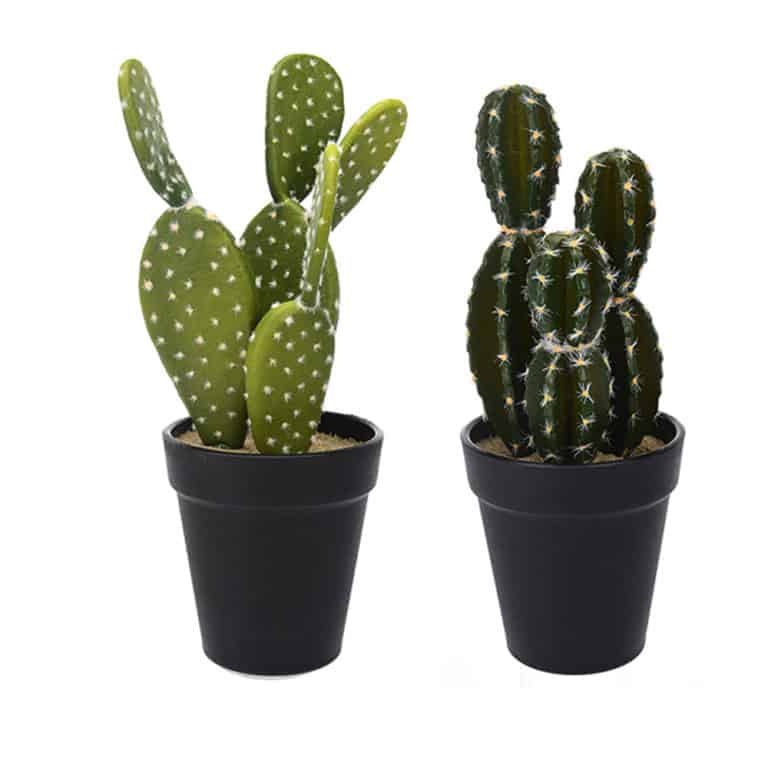 Faux / Fake Cactus in Black Pot – Set of 2 - Image 4