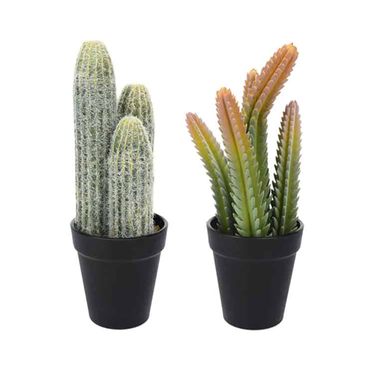 Faux / Fake Cactus in Black Pot – Set of 2 - Image 3