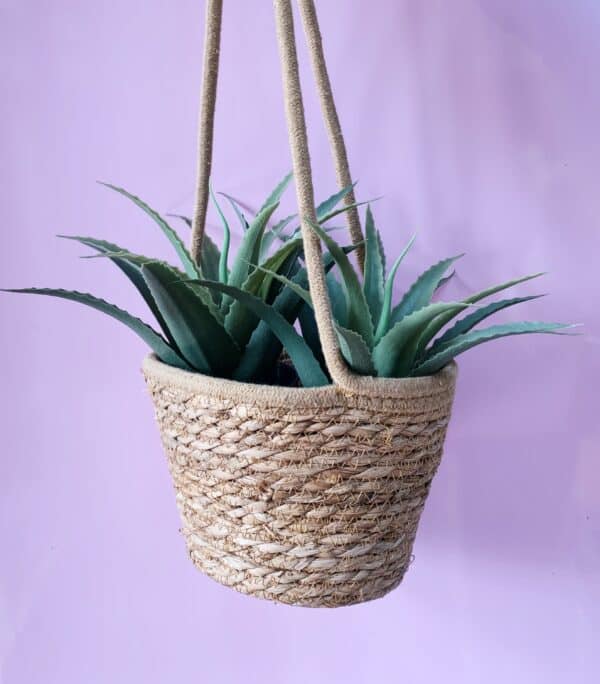 Seagrass Hanging Basket for Plants and Flowers - Image 2