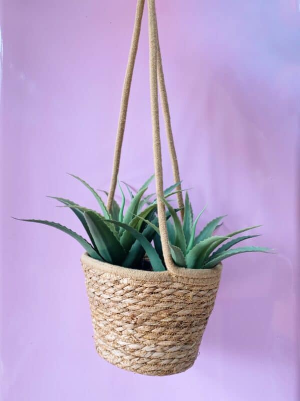 Seagrass Hanging Basket for Plants and Flowers