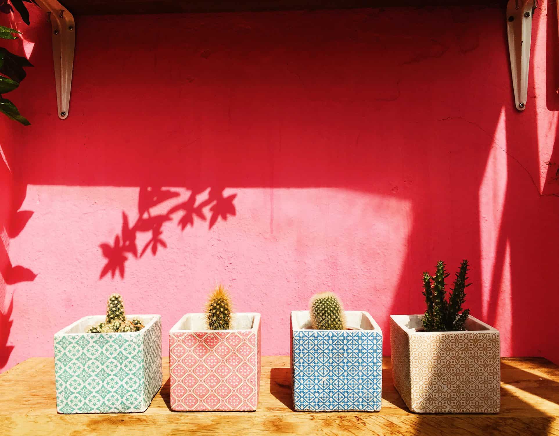 Indoor Pots