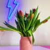 Pink Ceramic Fleurs Vase
