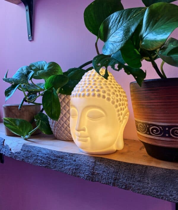 Large Buddha Lamp - Image 4