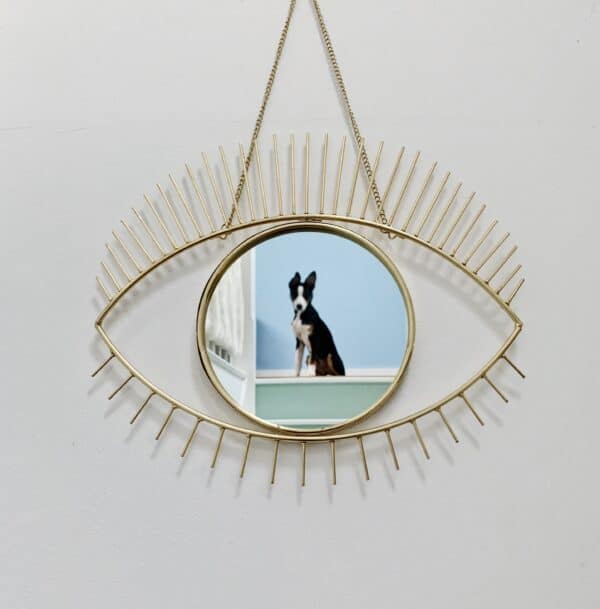 Eye Mirror