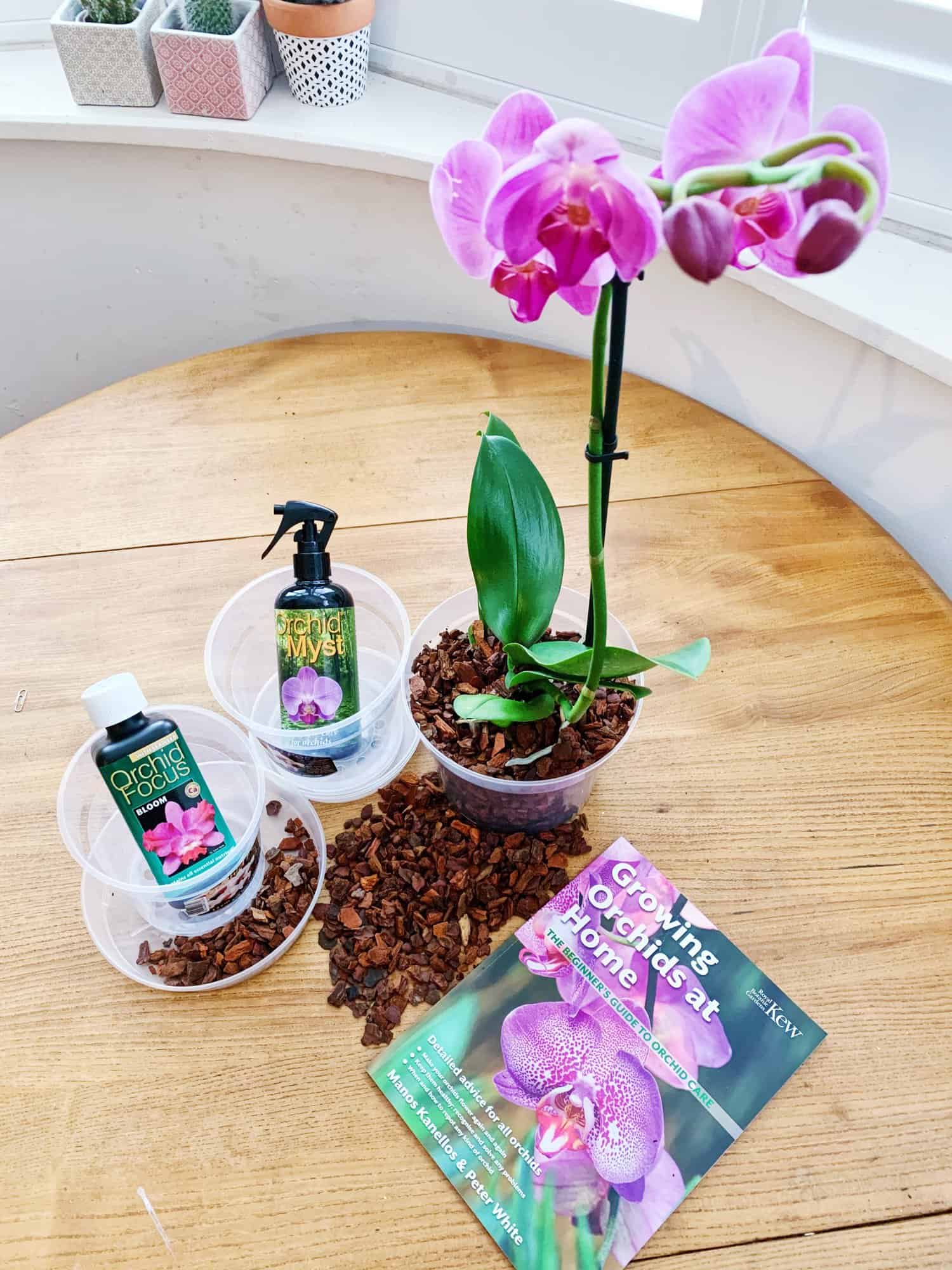 orchid lovers gift set