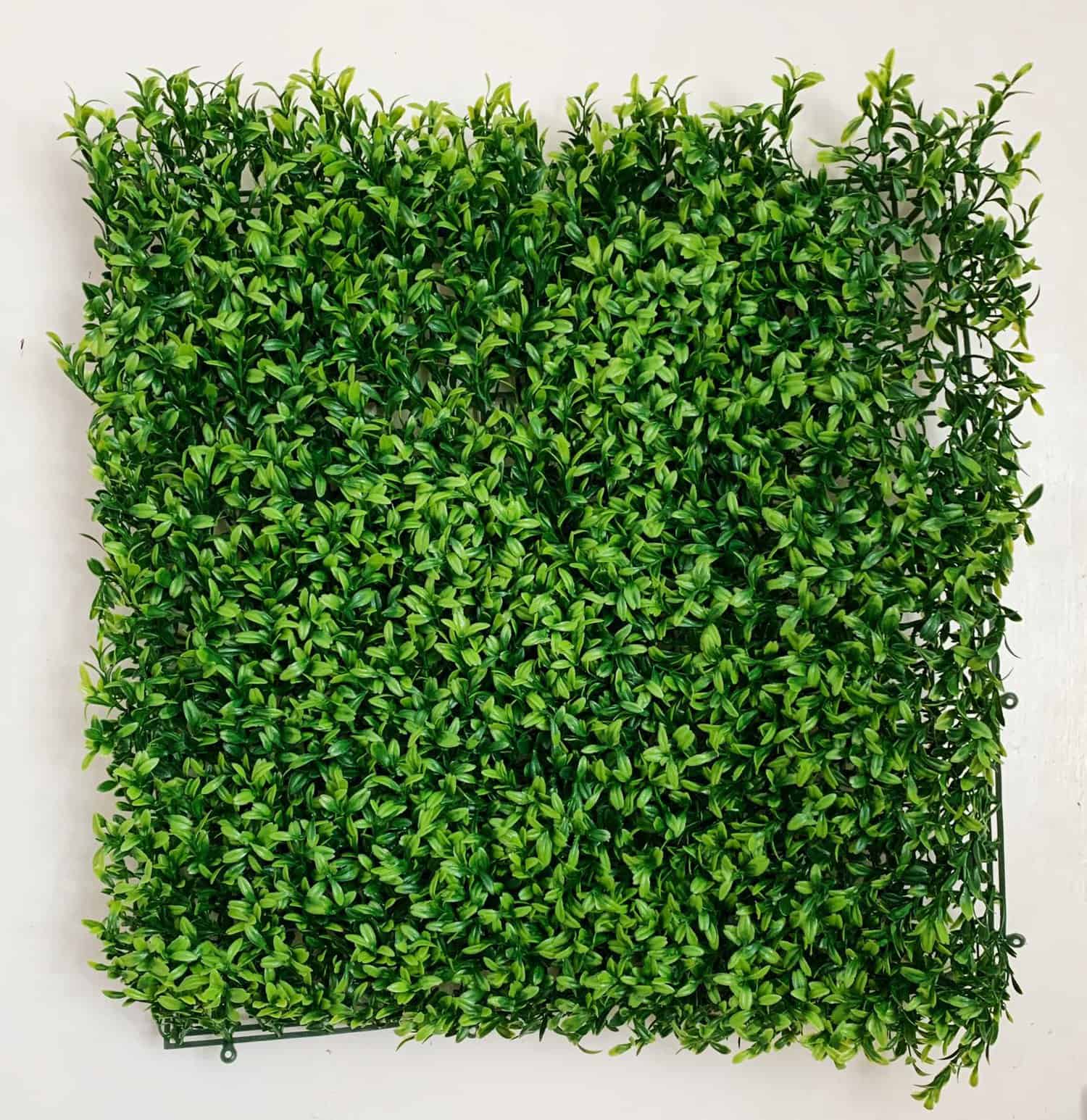Plant Walls